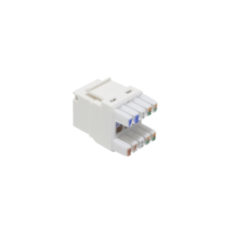 FURUKAWA Blanco Cat5e UTP Multilan Punch Keystone Hembra RJ45 35030521