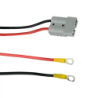 Cable Anderson-Terminal Ojo-8mm 50A Largo-100Cm