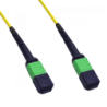 40mt MPO-MPO 12-Fibras Type-B MonoModo SM Jumper CableFibra LSZH 9/125