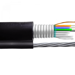 SM 12-Fibra-G652D...